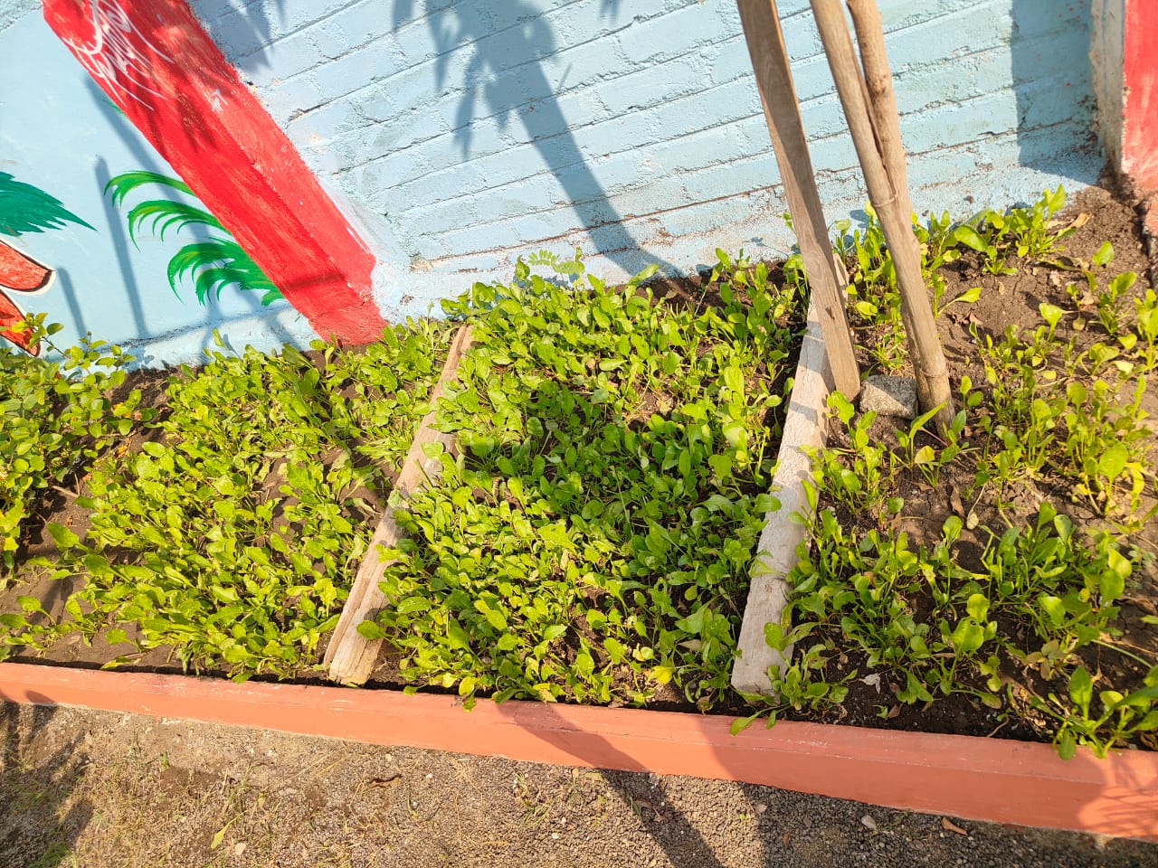 ग्रामपंचायत इमारत